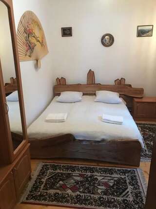 Гостевой дом Girskiy Svitanok Славское Двухместный номер с 1 кроватью-1